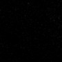 absolute black india