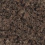amazon brown