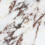 breccia capraia