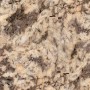 florentine peach