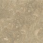 fossil limestone