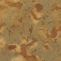 golden desert