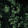 green bowenite dark
