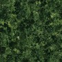 green bowenite light