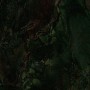 jungle green