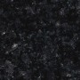 labrador black