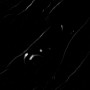 nero marquina