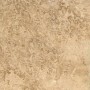 nut brown limestone