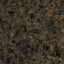 tropic brown
